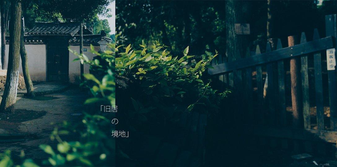 战锤：全面战争2